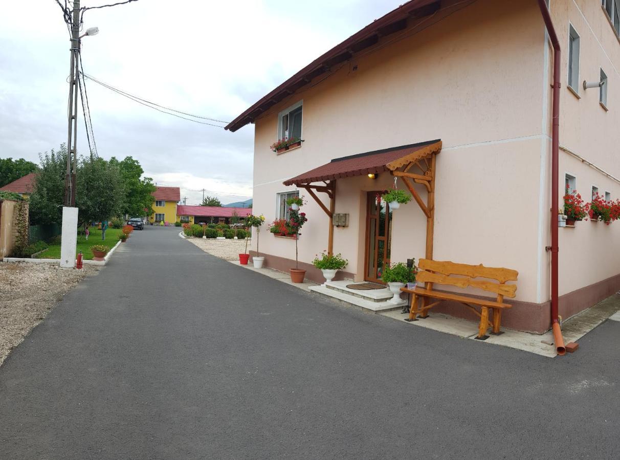 Hotel Cazare La Troita Codlea Exterior foto